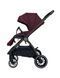 Коляска 2 в 1 Lacio Black/ Wine red
