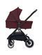 Коляска 2 в 1 Lacio Black/ Wine red