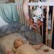 Музична іграшка Babyono Корівка Бінго 28 &times; 16 см арт.1692