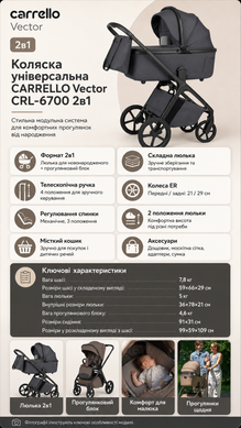 Коляска універсальна CARRELLO Vector CRL-6700 2в1