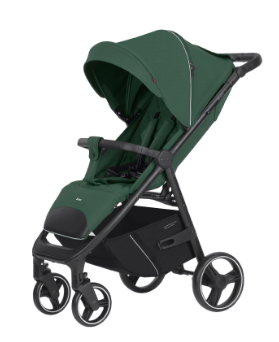 Прогулянкова коляска CARRELLO Bravo CRL-8512 BF Spring Green /1/