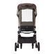 Коляска прогулянкова ЕSPIRO FLAME 10 TIMELESS BLACK