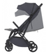 Коляска прогулянкова ESPIRO JUST 117 GRAPHITE BERRY