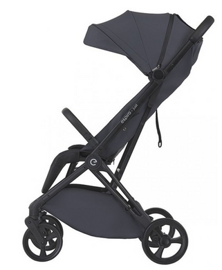 Коляска прогулянкова ESPIRO JUST 117 GRAPHITE BERRY