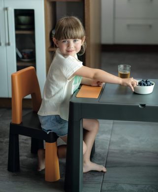 Детский столик и два стульчикаTega Teggi Multifun 1+2 графитовый