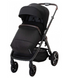 Коляска прогулянкова ESPIRO ONLY WAY 310 STYLISH BLACK