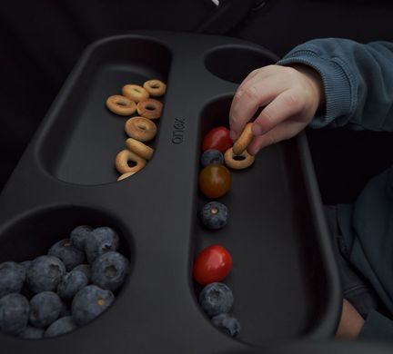 Коляска ANEX MODU WAGON