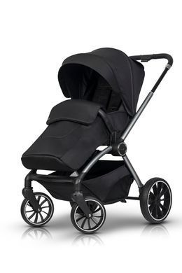 Коляска 2 в 1 EasyGo Giro
