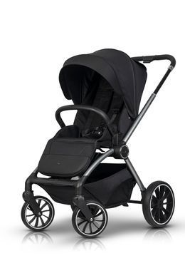Коляска 2 в 1 EasyGo Giro