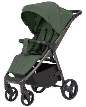 Прогулянкова коляска CARRELLO Bravo CRL-8512PU Pomelo Green /1/