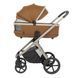 Коляска універсальна CARRELLO Vector CRL-6550 2в1