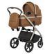 Коляска універсальна CARRELLO Vector CRL-6550 2в1