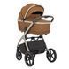 Коляска універсальна CARRELLO Vector CRL-6550 2в1