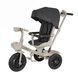 Велосипед триколісний TILLY FLASH T-3812