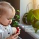 Гель для купання Chicco "Без Сліз" делікатний &ldquo;Baby Moments&rdquo;, 500 мл
