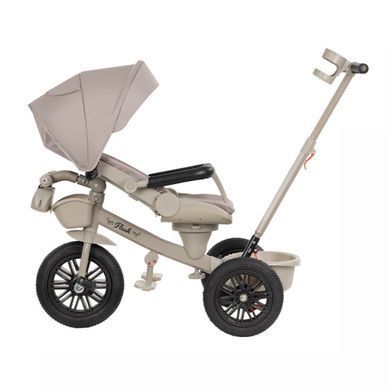 Велосипед триколісний TILLY FLASH T-3812