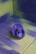 Пустушка Bibs Colour Latex Grape розмір 2