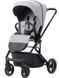 Коляска універсальна CARRELLO Alfa CRL-6507 (2in1) Rouge Pink /1/