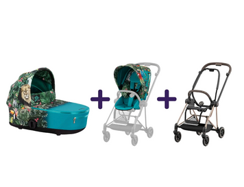 Коляска 2 в 1 Cybex Mios Rose gold Dj Khaled