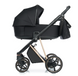 Коляска Roan Ivi True Black 2.0