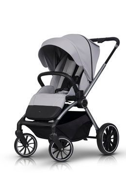 Коляска 2 в 1 EasyGo Giro