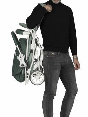 Коляска Euro-Cart Volt Pro Pearl