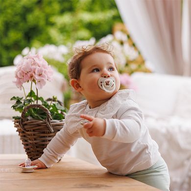 Пустушка анатомічна силіконова BabyOno від 6 до 18 міс беж зелена (арт. 1670/02)