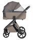 Коляска універсальна CARRELLO Vector CRL-6552 2в1