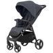 Прогулянкова коляска CARRELLO Bravo CRL-8512 Timber Grey