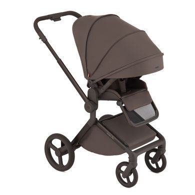 Дитяча коляска Anex Flo 2 в 1 Lungo