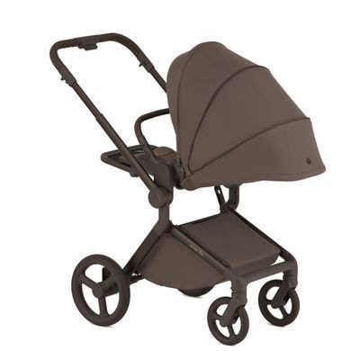 Дитяча коляска Anex Flo 2 в 1 Lungo