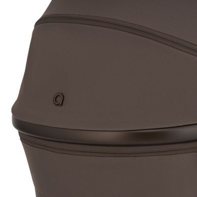 Дитяча коляска Anex Flo 2 в 1 Lungo
