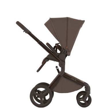 Дитяча коляска Anex Flo 2 в 1 Lungo