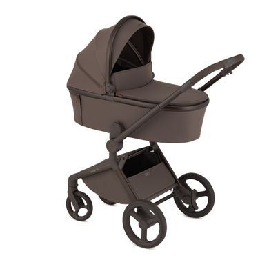 Дитяча коляска Anex Flo 2 в 1 Lungo