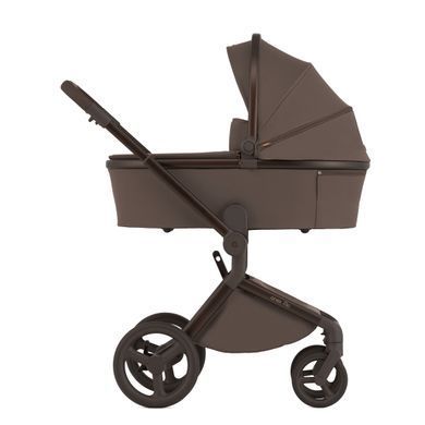 Дитяча коляска Anex Flo 2 в 1 Lungo