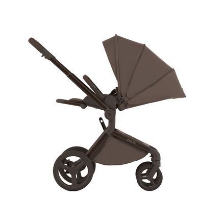 Дитяча коляска Anex Flo 2 в 1 Lungo