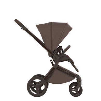 Дитяча коляска Anex Flo 2 в 1 Lungo