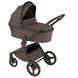 Дитяча коляска Anex Flo 2 в 1 Lungo